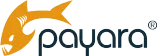 Payara logo