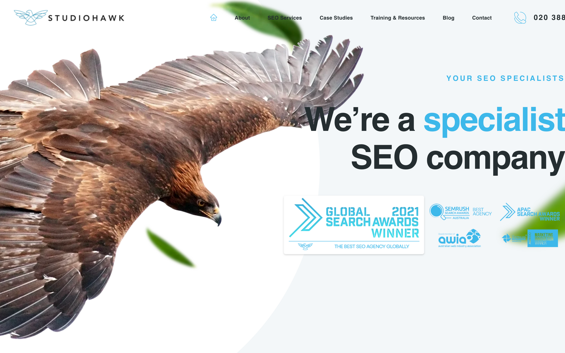 StudioHawk agency logo